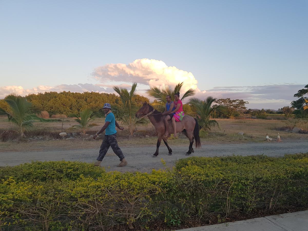Bayview Cove Resort Nadi Luaran gambar
