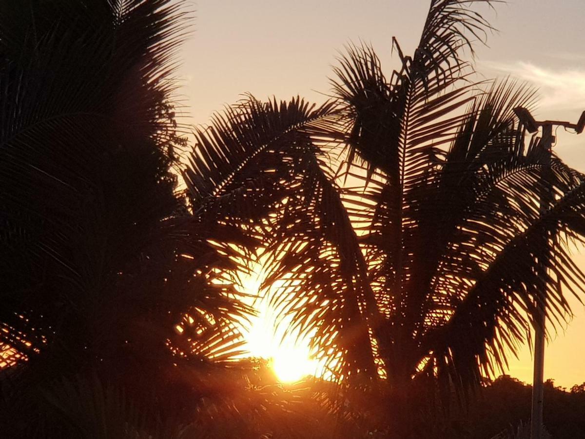 Bayview Cove Resort Nadi Luaran gambar